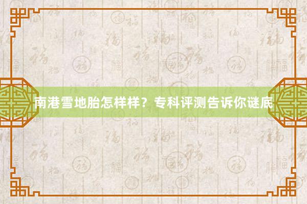 南港雪地胎怎样样？专科评测告诉你谜底